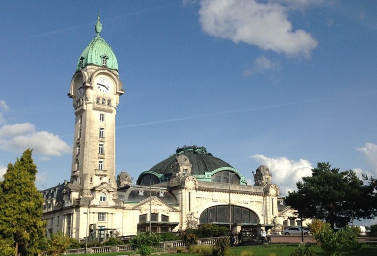 APPLY NOW: Double Degree Program Materials Science FAU – Université de Limoges